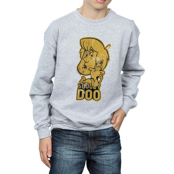 Scooby Doo Boys And Shaggy Sweatshirt