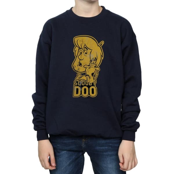 Scooby Doo Boys And Shaggy Sweatshirt