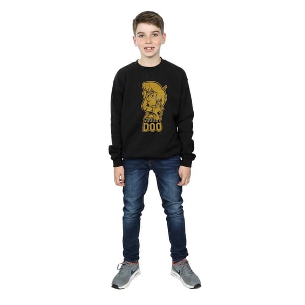 Scooby Doo Boys And Shaggy Sweatshirt