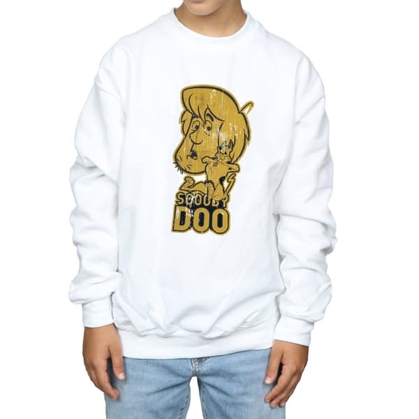 Scooby Doo Boys And Shaggy Sweatshirt