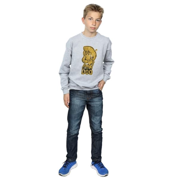 Scooby Doo Boys And Shaggy Sweatshirt