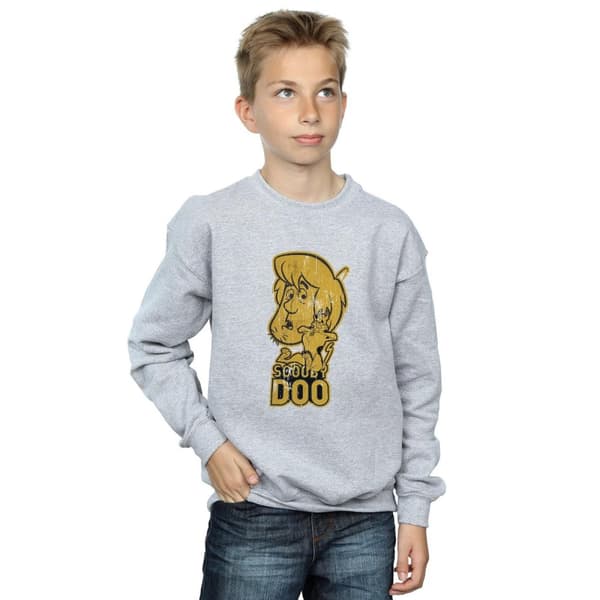 Scooby Doo Boys And Shaggy Sweatshirt
