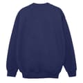 Miniatyrbillede 2 af 3: Marvel Womens/Ladies Spidey And His Amazing Friends Flying Sweatshirt