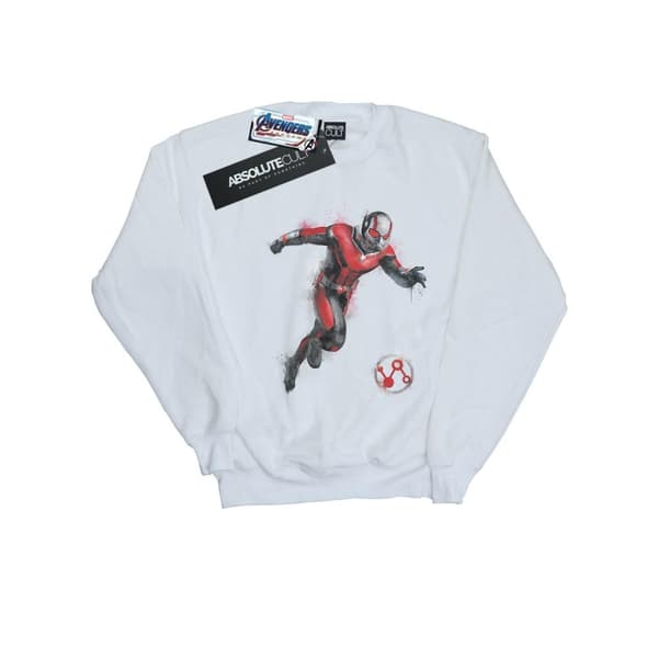 Marvel Mens Avengers Endgame Painted Ant-Man - Sweatshirt