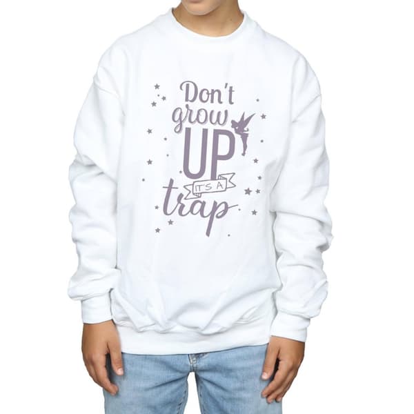 Disney Pojkar Tinker Bell Don´t Grow Up Sweatshirt