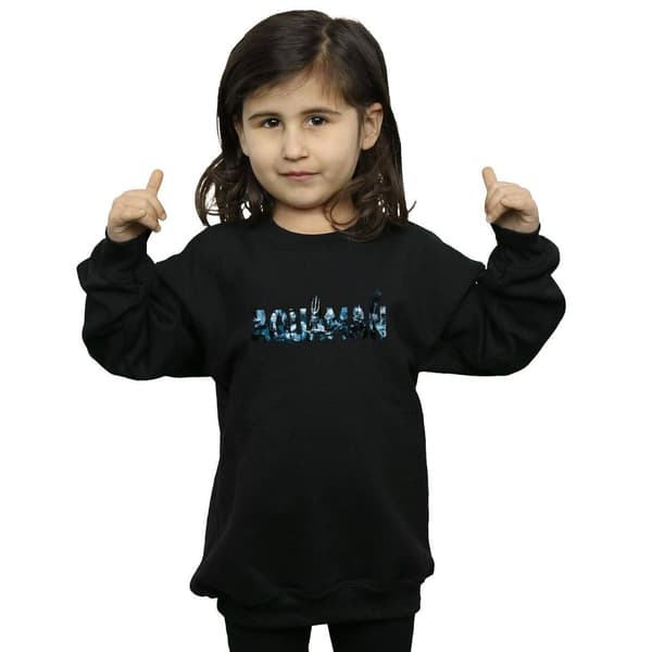 DC Comics Girls Aquaman Text Logo Sweatshirt