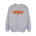 Miniatyrbild 1 av 4: DC Comics Pojkar Superman Hero Dad Sweatshirt