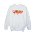 Miniatyrbild 1 av 4: DC Comics Pojkar Superman Hero Dad Sweatshirt