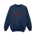 Miniatyrbillede 1 af 3: DC Comics Boys The Flash Multiverse Rings Sweatshirt