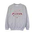 Miniatyrbillede 1 af 3: DC Comics Boys The Flash Multiverse Rings Sweatshirt