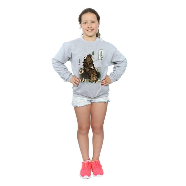 Star Wars Girls The Last Jedi Japanese Chewbacca Porgs Sweatshirt