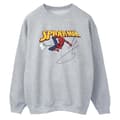 Pikkukuva 1 / 3: Marvel Womens/Ladies Spider-Man With A Book Sweatshirt