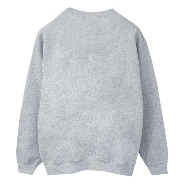Marvel Womens/Ladies Spider-Man With A Book Sweatshirt