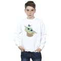 Miniatyrbilde 2 av 3: Star Wars Boys The Mandalorian Butterfly Catching Sweatshirt