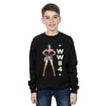 Miniatyrbild 2 av 3: DC Comics Wonder Woman 84 Standing Logo - tröja för pojkar