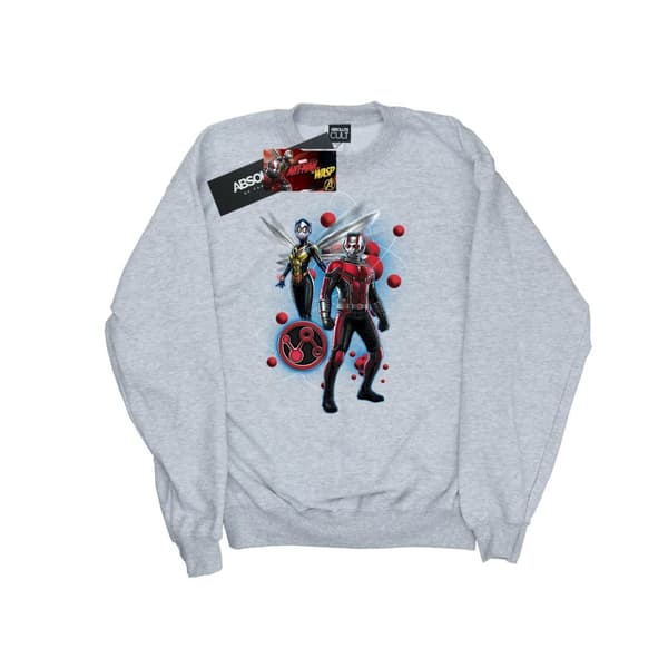 Marvel Mens Ant-Man And The Wasp Particle Pose Sweatshirt Sports Grey 3XL