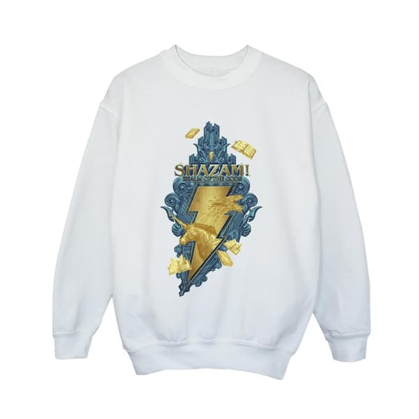 DC Comics Pojkar Shazam Fury Of The Gods Golden Animal Bolt Sweatshirt