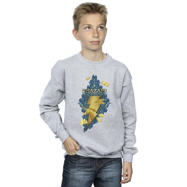 DC Comics Pojkar Shazam Fury Of The Gods Golden Animal Bolt Sweatshirt