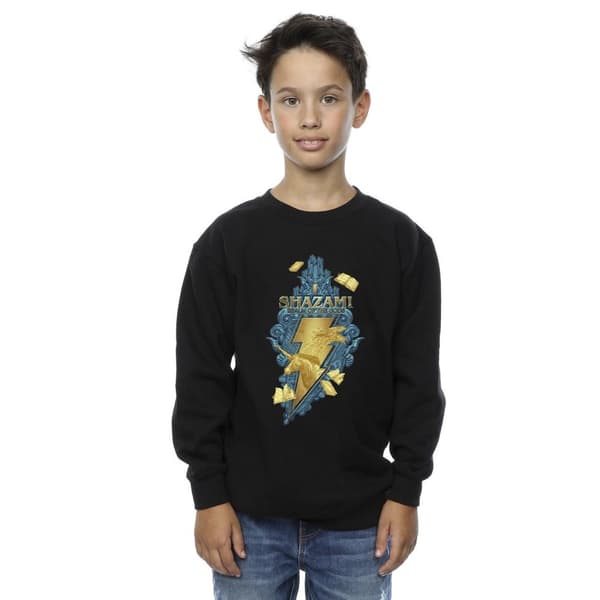 DC Comics Pojkar Shazam Fury Of The Gods Golden Animal Bolt Sweatshirt