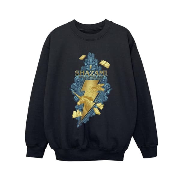 DC Comics Pojkar Shazam Fury Of The Gods Golden Animal Bolt Sweatshirt
