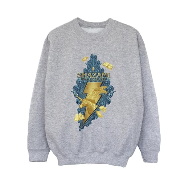 DC Comics Boys Shazam Fury Of The Gods Golden Animal Bolt Sweatshirt