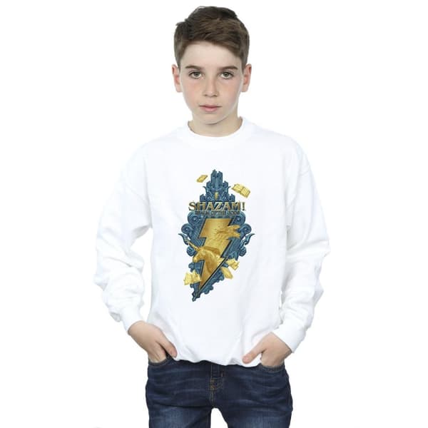 DC Comics Pojkar Shazam Fury Of The Gods Golden Animal Bolt Sweatshirt