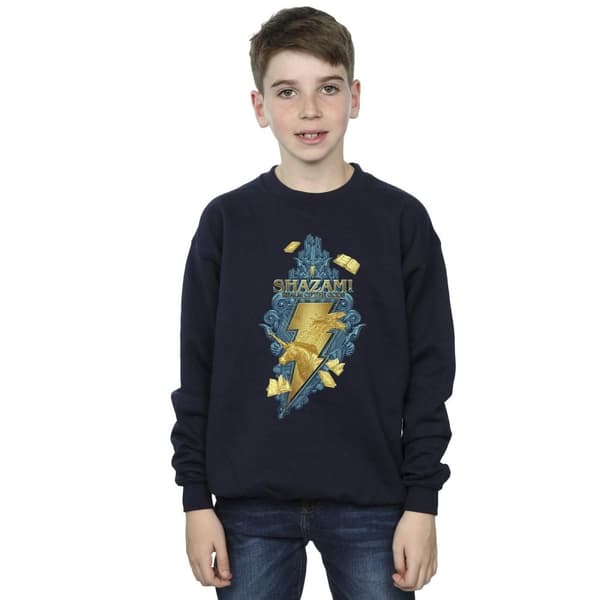 DC Comics Pojkar Shazam Fury Of The Gods Golden Animal Bolt Sweatshirt