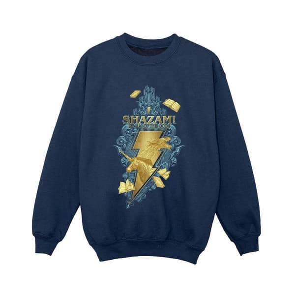 DC Comics Pojkar Shazam Fury Of The Gods Golden Animal Bolt Sweatshirt