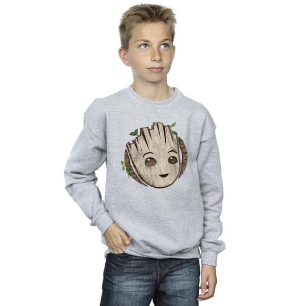 Marvel Boys I Am Groot Wooden Head Sweatshirt