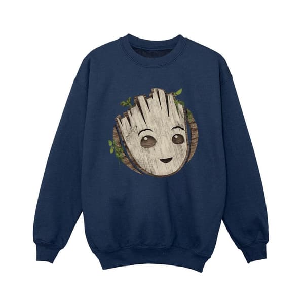 Marvel Boys I Am Groot Wooden Head Sweatshirt
