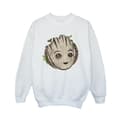 Miniatyrbillede 1 af 3: Marvel Boys I Am Groot Wooden Head Sweatshirt