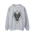 Miniatyrbilde 1 av 3: Game Of Thrones: House Of The Dragon Mens Dragon Pattern Sweatshirt