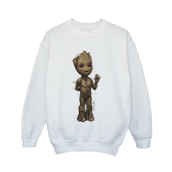 Marvel Boys I Am Groot Wave Pose Sweatshirt