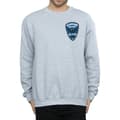 Miniatyrbilde 3 av 5: DC Comics Mens Arrow Starling Metro Badge Sweatshirt