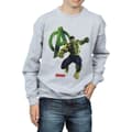 Miniatyrbillede 3 af 5: Marvel Boys Hulk Pose Sweatshirt