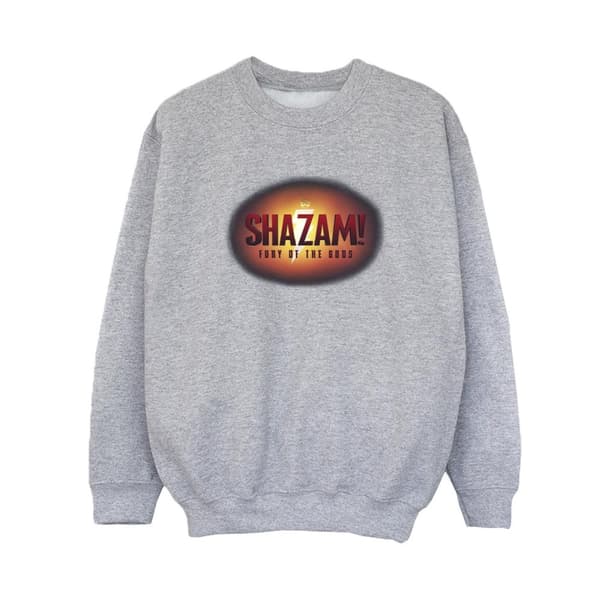 DC Comics Boys Shazam Fury Of The Gods 3D Logo Flare Sweatshirt