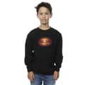 Miniatyrbillede 2 af 3: DC Comics Boys Shazam Fury Of The Gods 3D Logo Flare Sweatshirt