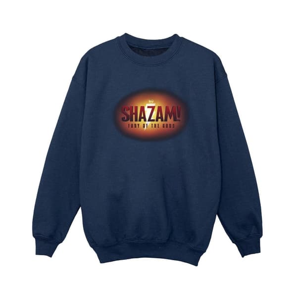 DC Comics Boys Shazam Fury Of The Gods 3D Logo Flare Sweatshirt