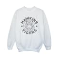 Miniatyrbild 1 av 3: Netflix Pojkar Stranger Things Hawkins Grå Tiger Sweatshirt