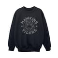 Miniatyrbild 1 av 3: Netflix Pojkar Stranger Things Hawkins Grå Tiger Sweatshirt