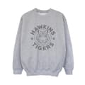 Miniatyrbild 1 av 3: Netflix Pojkar Stranger Things Hawkins Grå Tiger Sweatshirt