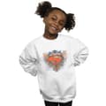 Miniatyrbilde 2 av 3: DC Comics Girls Superman Wings Shield Sweatshirt