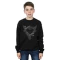 Miniatyrbillede 2 af 3: DC Comics Boys Superman Wings Logo Sweatshirt