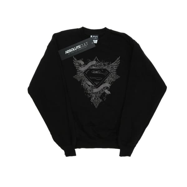 DC Comics Boys Superman Wings Logo Sweatshirt