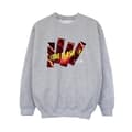 Miniatyrbild 1 av 3: DC Comics Pojkar The Flash Pillars Sweatshirt