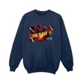 Miniatyrbild 1 av 3: DC Comics Pojkar The Flash Pillars Sweatshirt