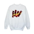 Miniatyrbild 1 av 3: DC Comics Pojkar The Flash Pillars Sweatshirt