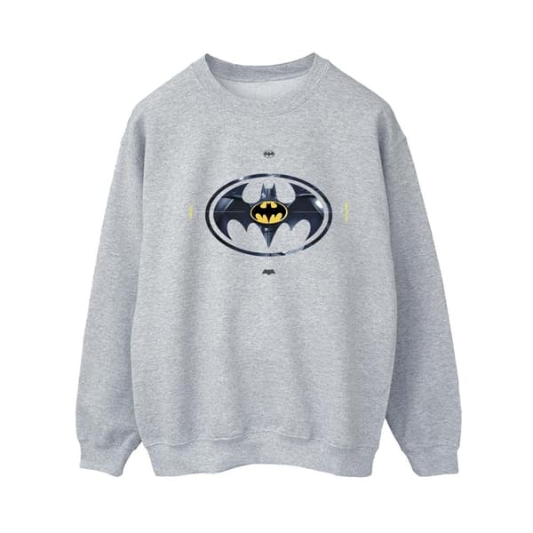 DC Comics Dam/Tjej The Flash Batman Metal Logo Sweatshirt Sports Grey M