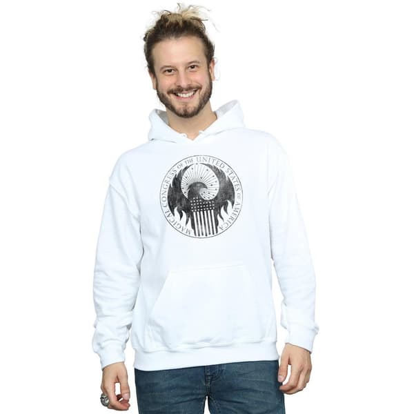 Fantastic Beasts Mens Distressed Magical Congress Hoodie