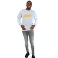 Miniatyrbilde 4 av 5: Marvel Mens Avengers Infinity War Orange Logo Sweatshirt